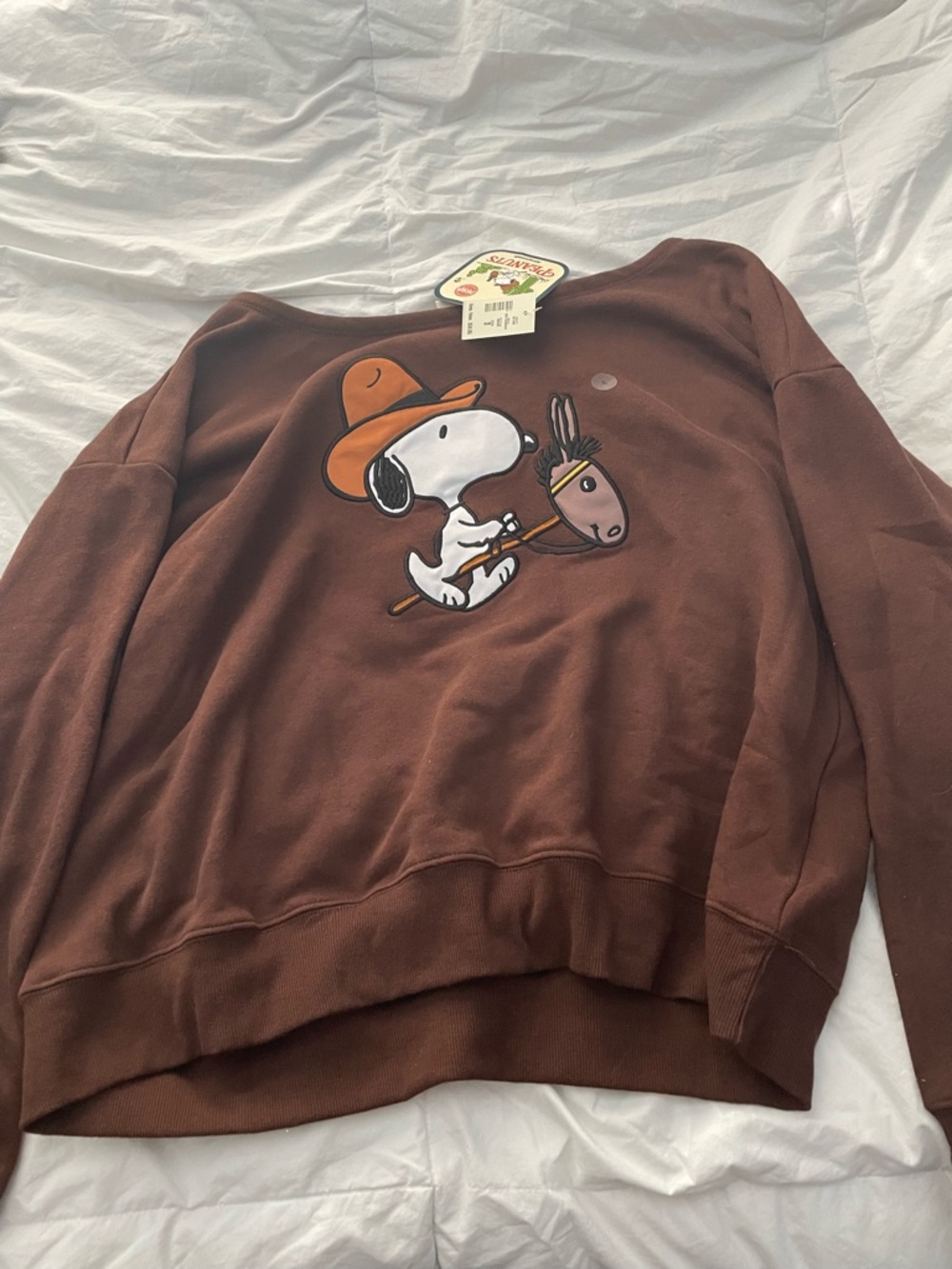 Aeropostale Peanuts Tee in Brown